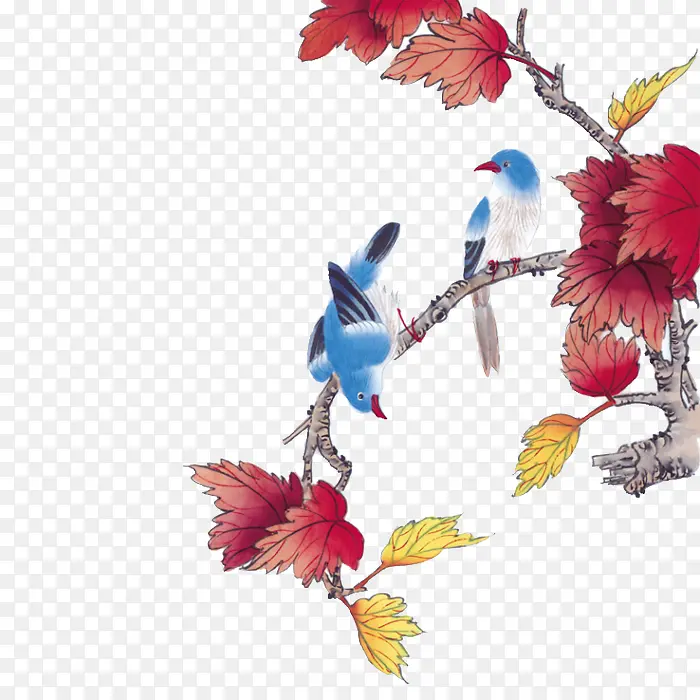 �ŷ�ʻ���֦���㰴��Ҷ-������