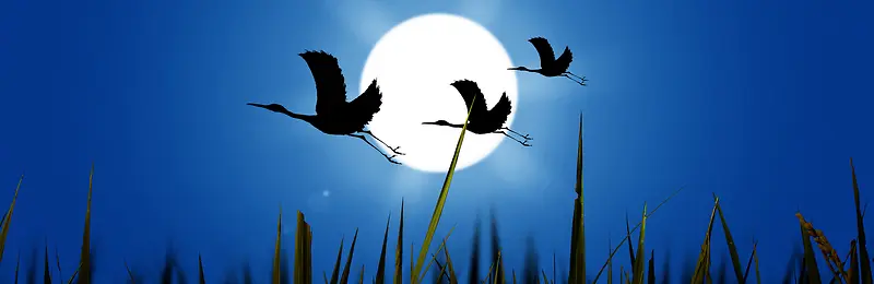 ҹ�ձ�����-������