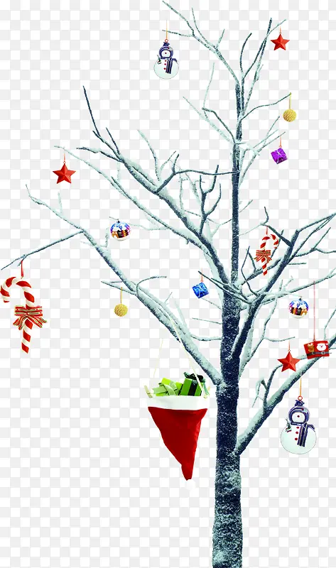 ���崴��ʥ������֦����-������