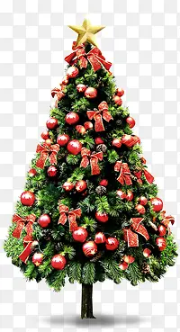 ʥ����ʥ���ڿ�-������