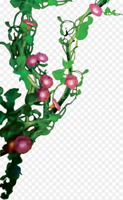 ��ɫˮ��ǣţ������-������