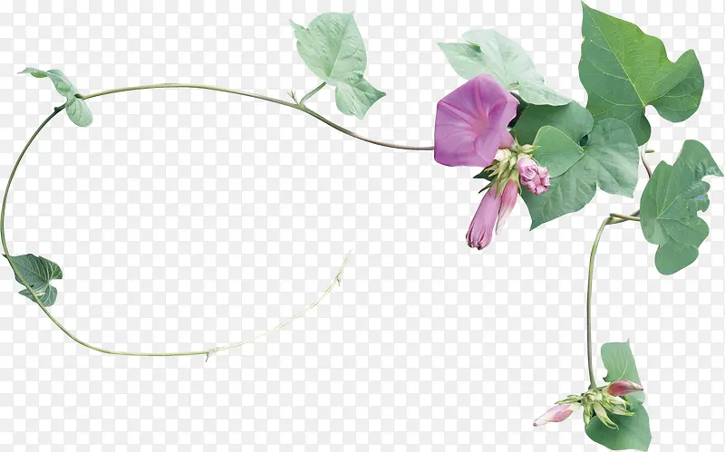 ��Ӱ�ϳɸ���ǣţ��-������