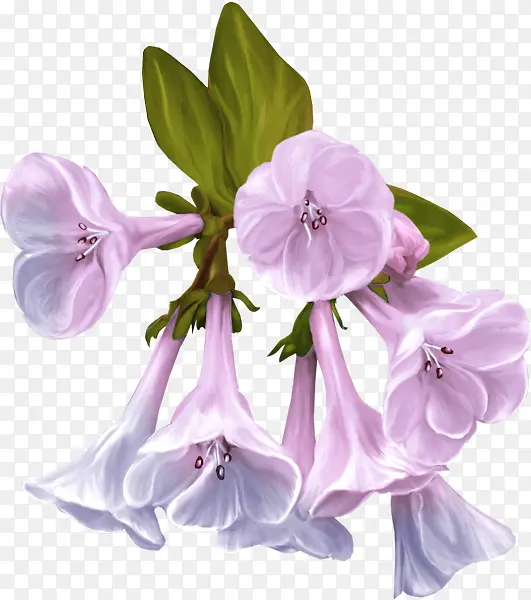 ޹�²�ɫǣţ��װ��-������