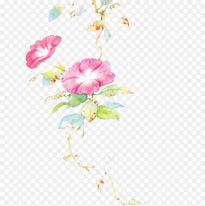 �ֻ�ǣţ��-������