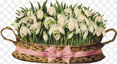 �ֻ滨�ο�ͨ��-������