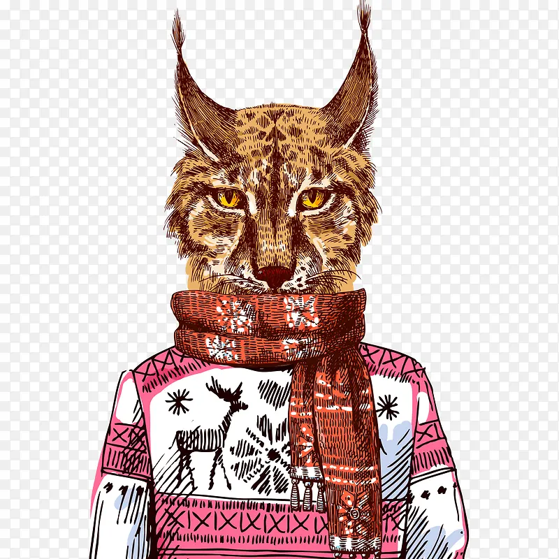 ��ͨ����-������