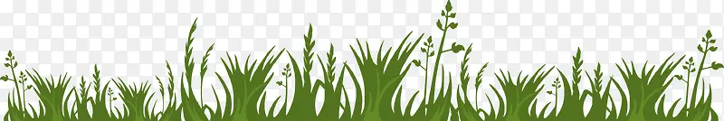 ��ͨ�ݵ�-������