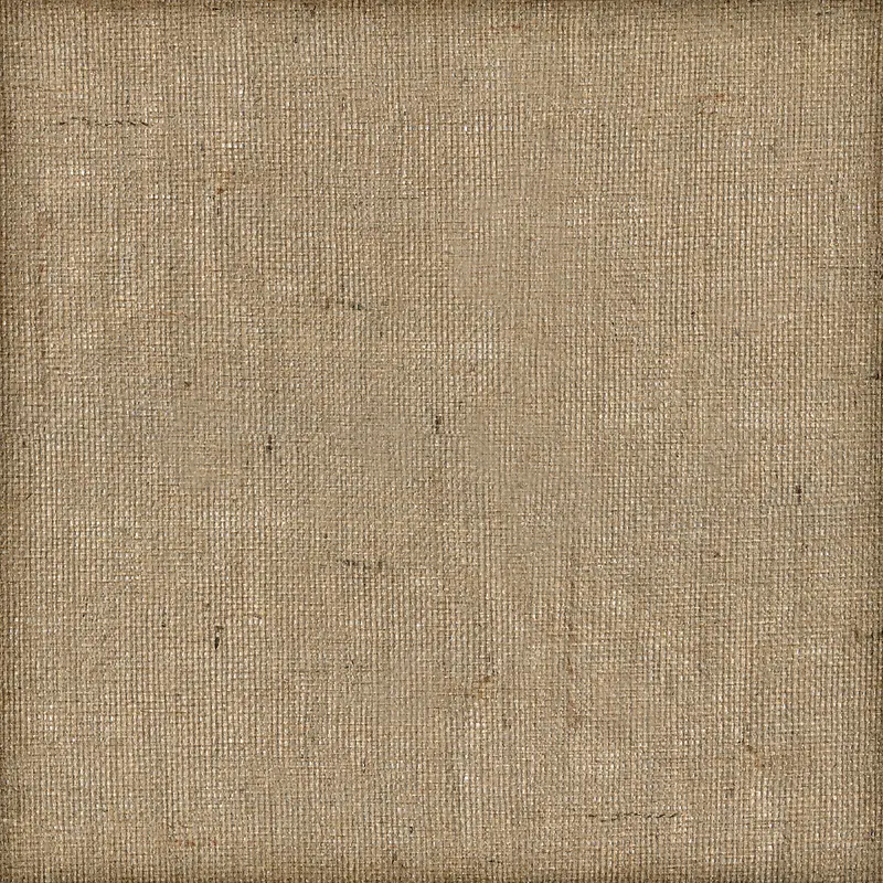 �����鲼���Ʊ���-������