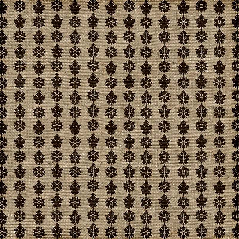 ���Ż��Ƶ��Ʊ���-������