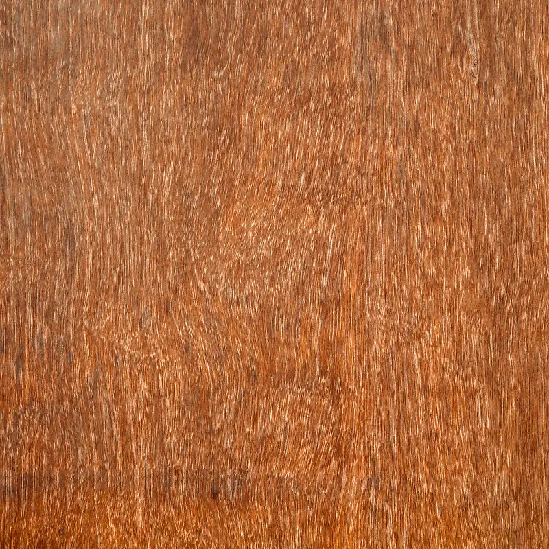 ľ�Ʊ���-������