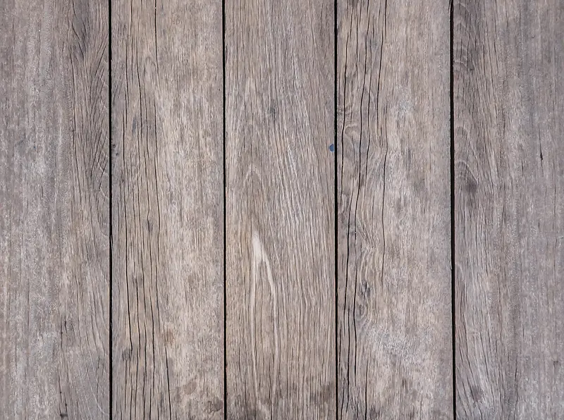 ľ�Ʋ��ʱ���-������