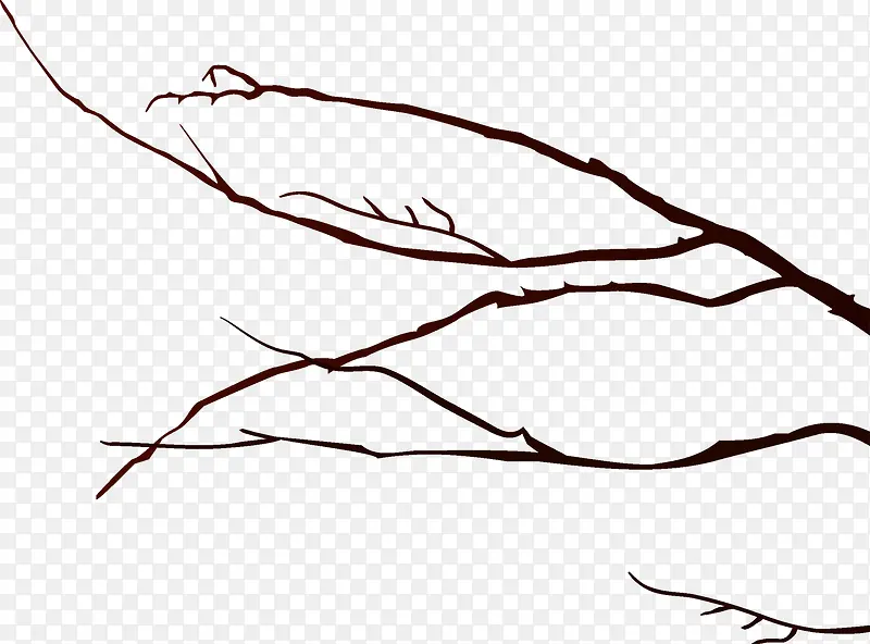 ��֦�߽�װ��-������