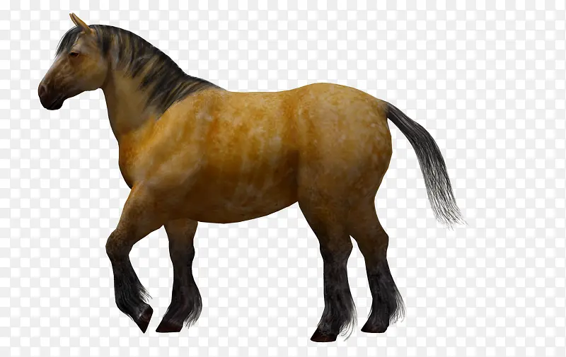 ��ͨ�ز��ֻ���-������