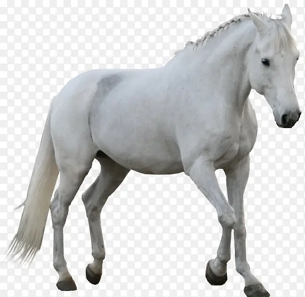 ���زĿ�ͨͼƬ-������