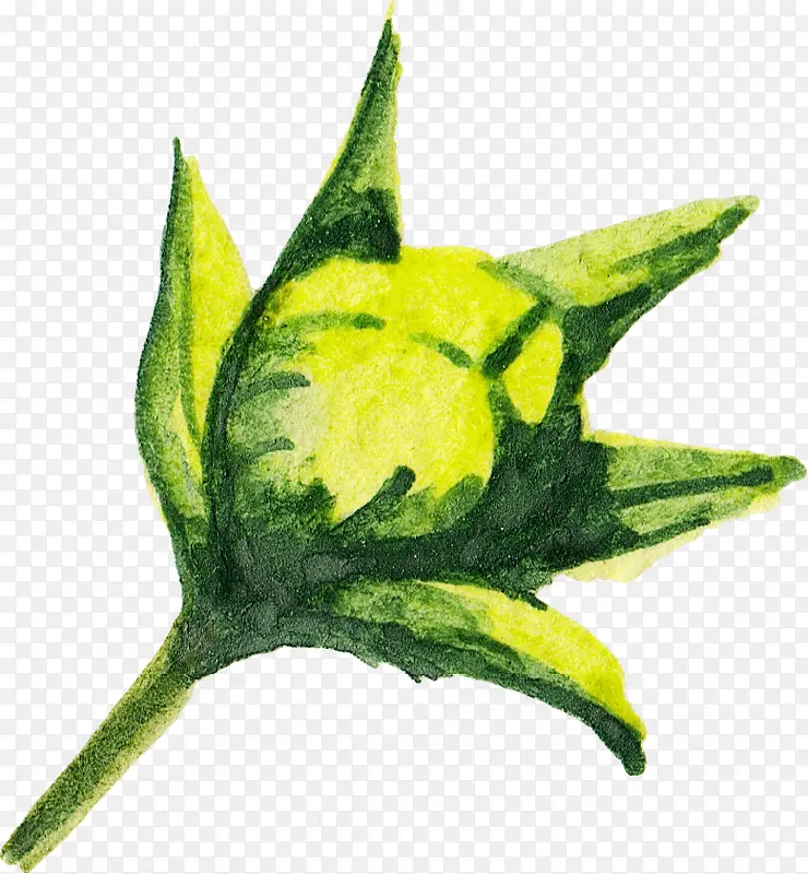 ˮ�ʻ�-������