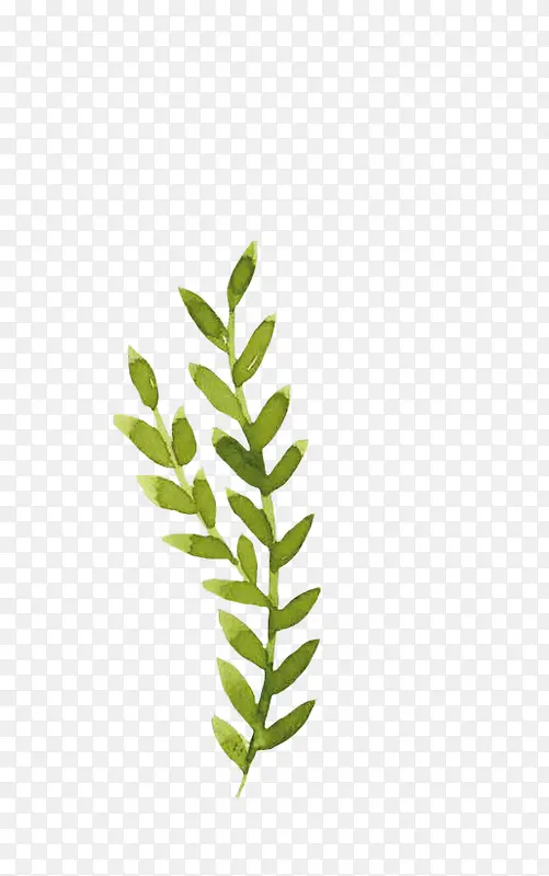 ˮ��ֲ��-������