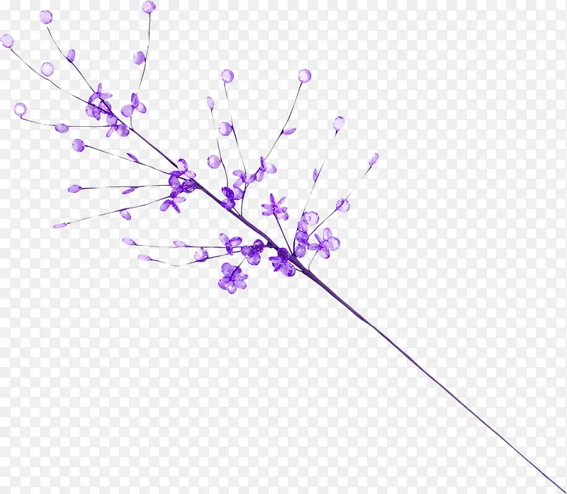 �ϻ�-������