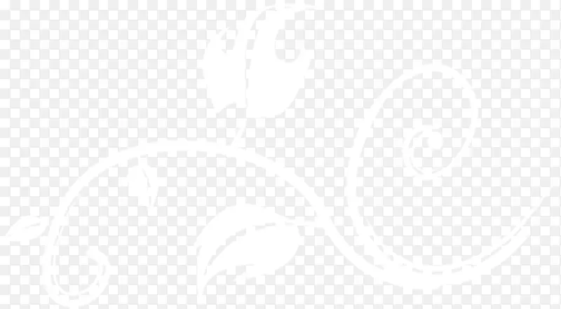 ���˽ڰ�ɫ��֦Ҷ����-������