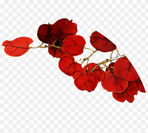 ��ɫҶ�Ӻ�ɫ֦Ҷˮ��-������