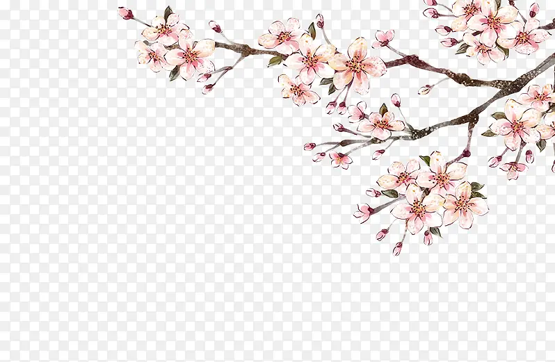 ��֦-������