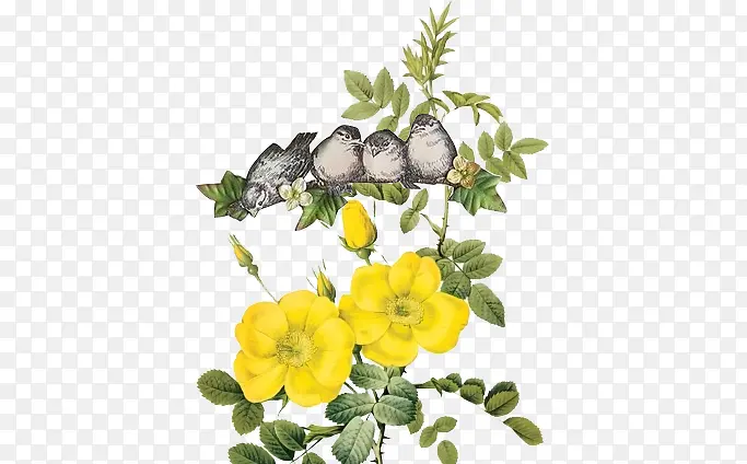 �ֻ�廭-������