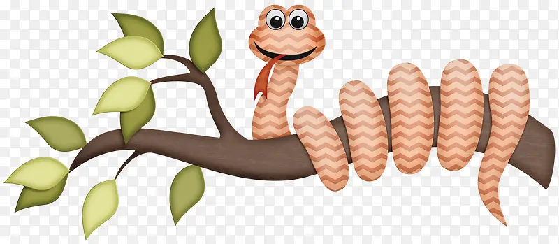 ֦��-������