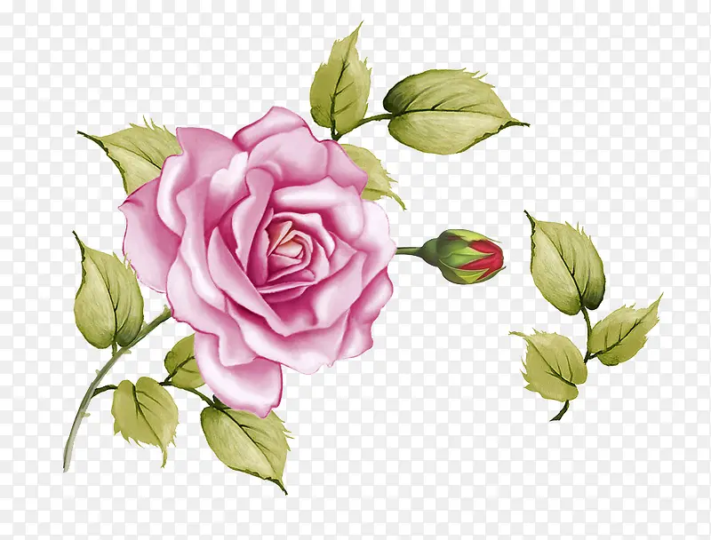 �ֻ滨-������