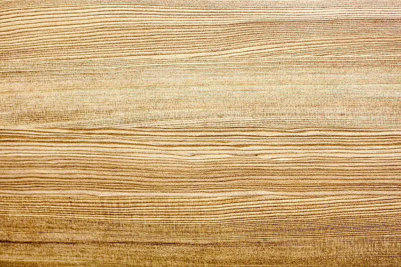 ľ����˿����-������