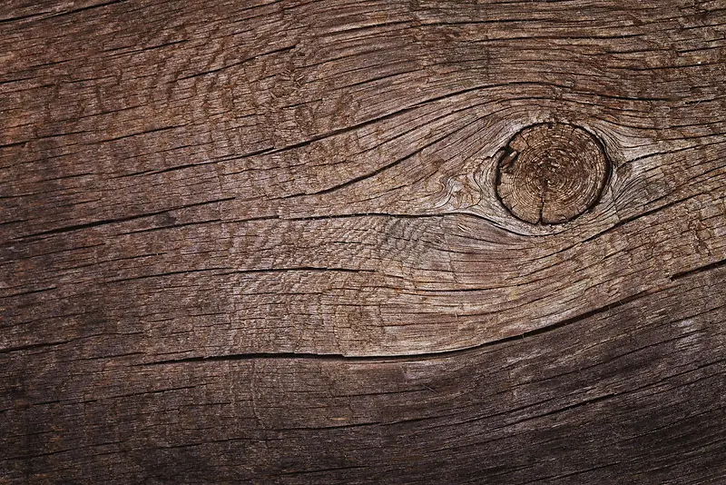 ����ľ�Ʊ���-������