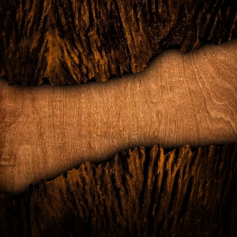 ľ�Ʊ���-������