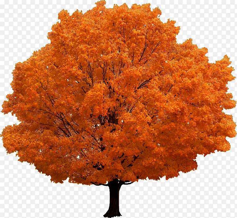 ��-������