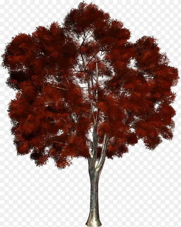 ��-������