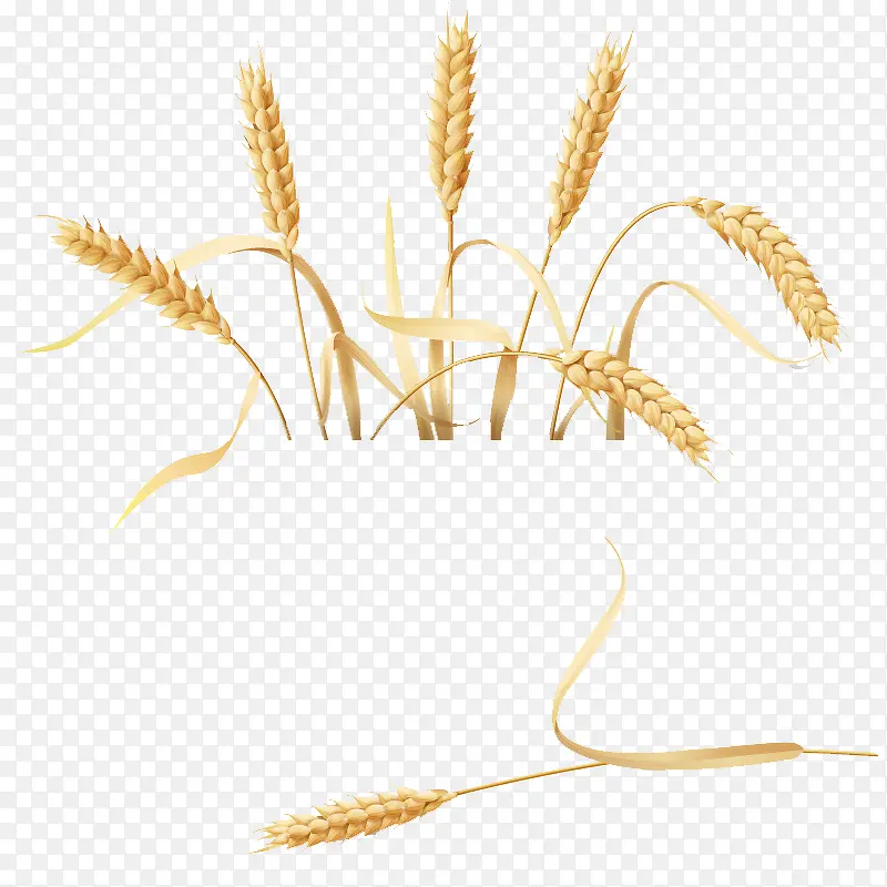 ����-������