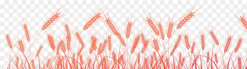 С���ز�-������