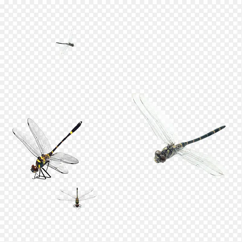 �＾�������-������