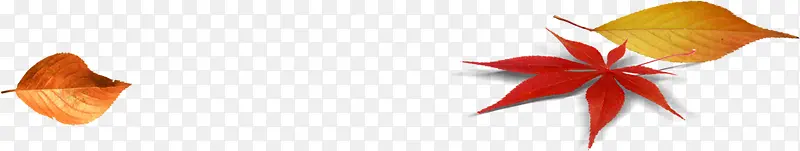 �ֻ��＾Ҷ�Ӳ廭-������