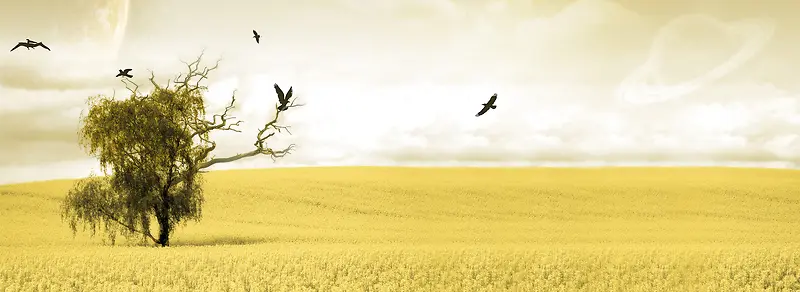 �＾�羰����-������