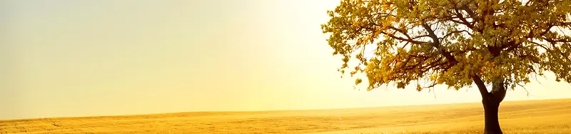 �＾�ز�-������