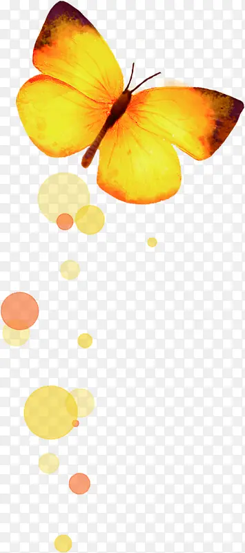 �＾��ɫ�ɰ�����-������