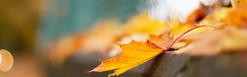 �＾�زı����ز�-������