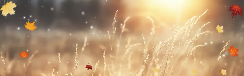 �Ա�����ͼ�＾������Ҷ-������