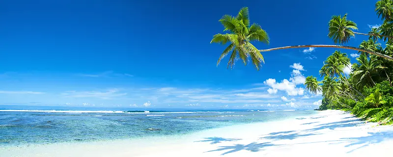 ��̲������Ӱ����-������