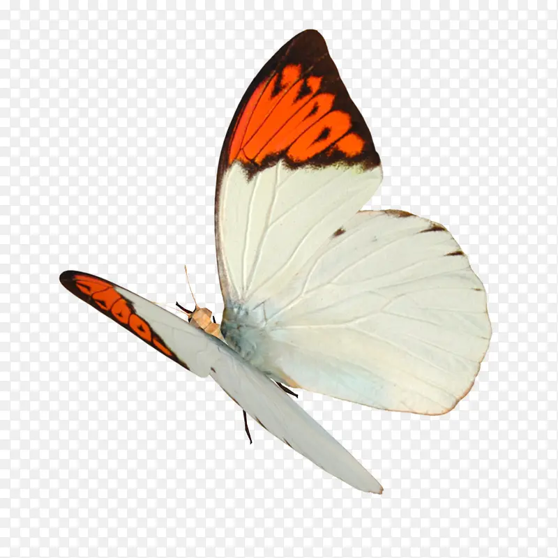 ����PNG-������