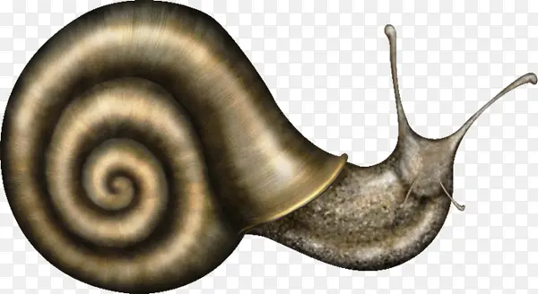 ��ͨС��ţ-������