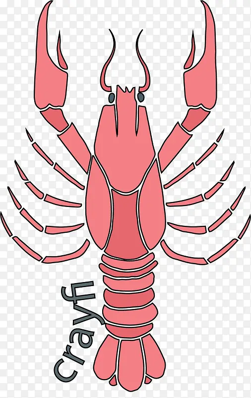 �ֻ���Ϻ-������