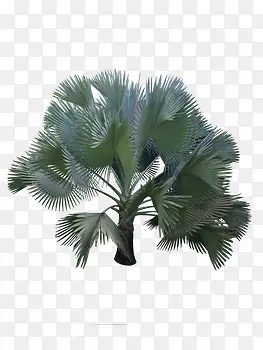 �����-������