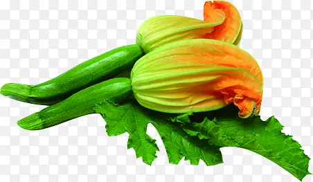 ������ɫ�߲�����«-������