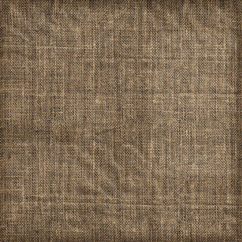 ���鲼��������-������