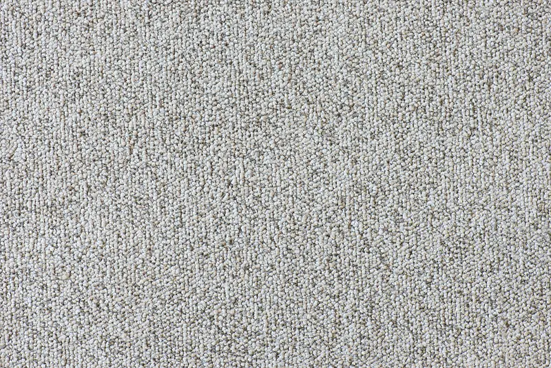 ���Ʊ���-������