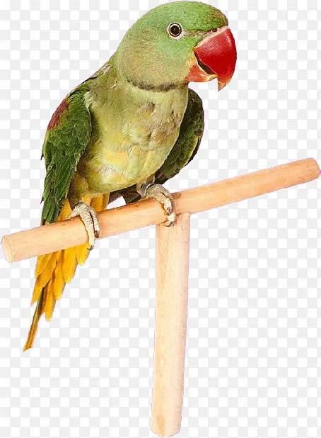 ��������-������